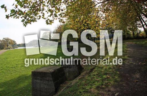 Herbststimmung-10-09 075.jpg